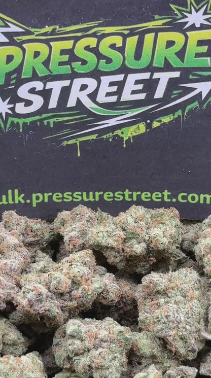 #XLG003 - Octane Gas (Sativa)