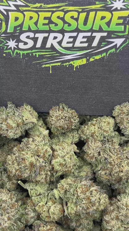 #N-EB240 - Oreo Milkshake (Sativa)