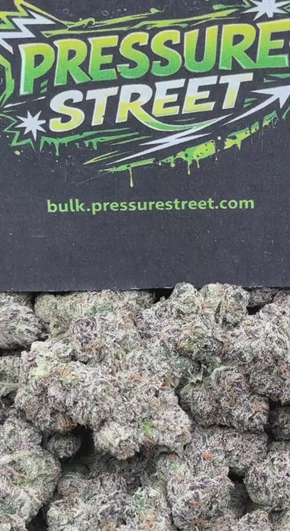 #KIL725 - Lime Sherbet (Indica Hybrid)