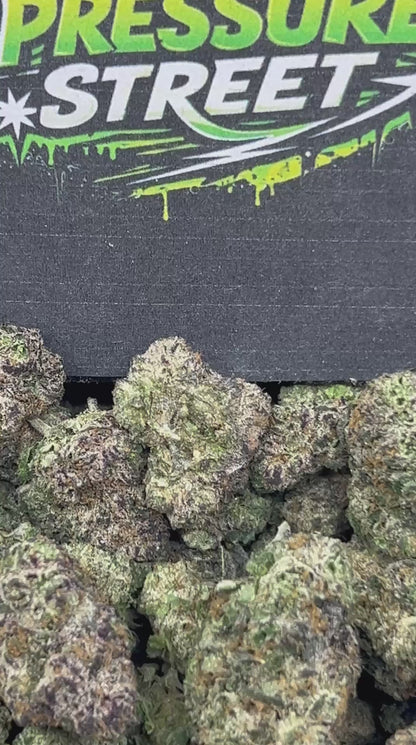 #N-CM1134 - Apple Strudel  (Hybrid)