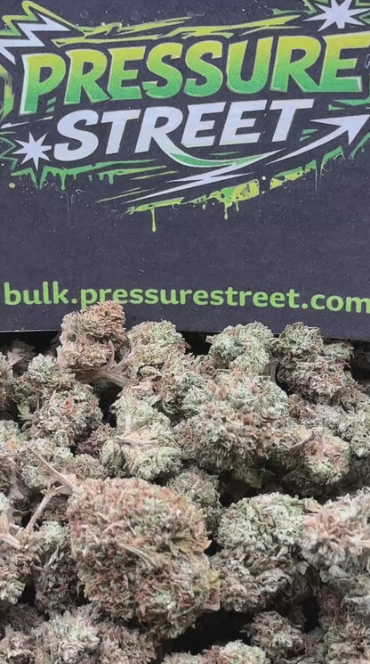 #IND137 - Citrus Burst (Hybrid)