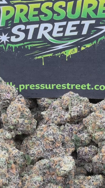 #AI505 - Peach Gelato (Hybrid)