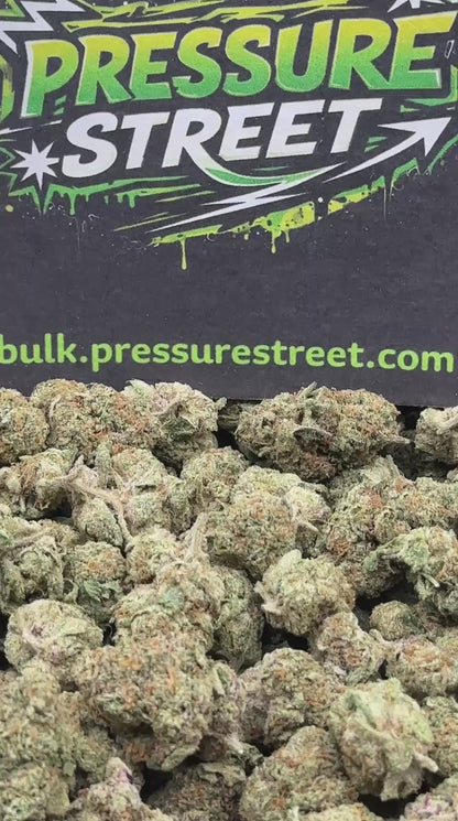 #CEA014 - Diamond Cookies (Hybrid)