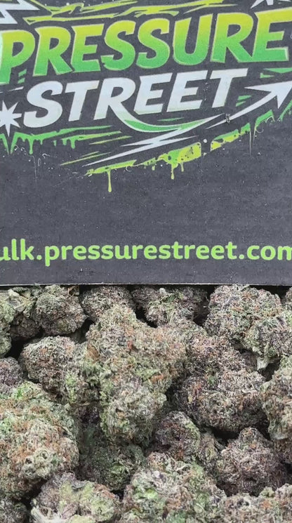 #EX581 - Cherry Cake (Hybrid)