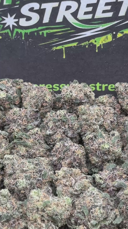#KAM309 - Sugar Rush SM (Hybrid)