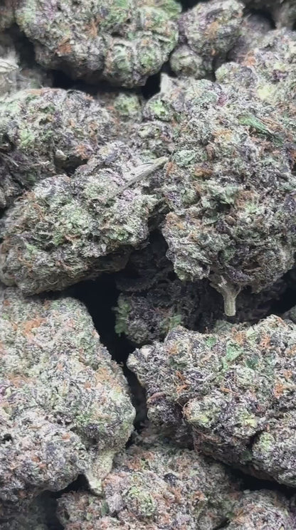 #EX615 - Vanilla Frost (Hybrid)