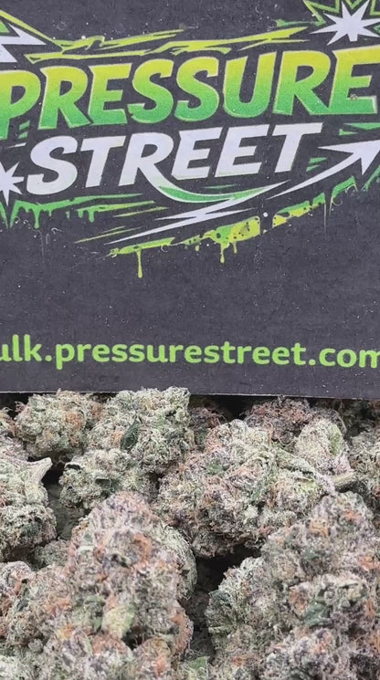 #AI216 - Midnight Royale (Indica)