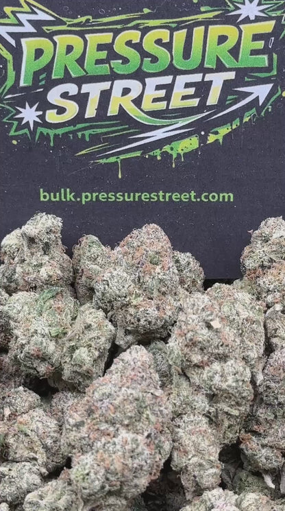 #AI204 - Galactic Gumbo (Hybrid)