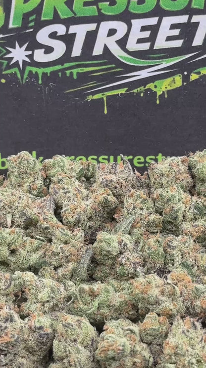#KAM316 - Cookie Cream SM (Hybrid)