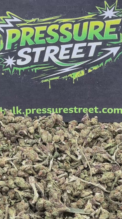 #MC01 - Micros (Indica)