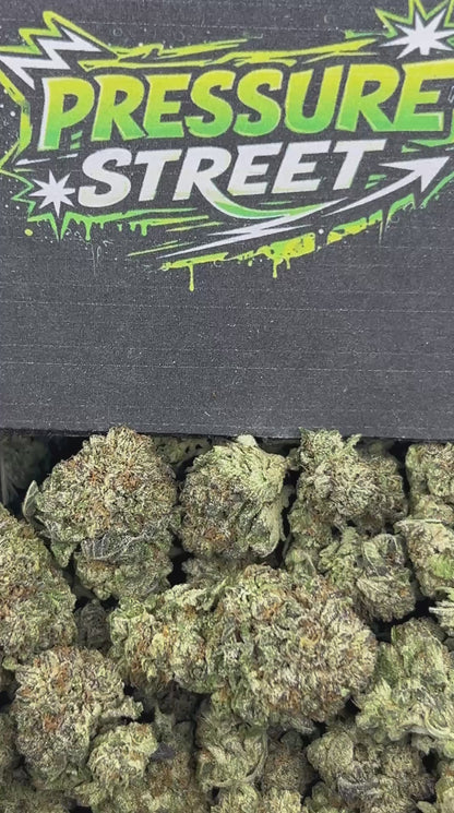 #N-EB242 - PB&J (Hybrid)