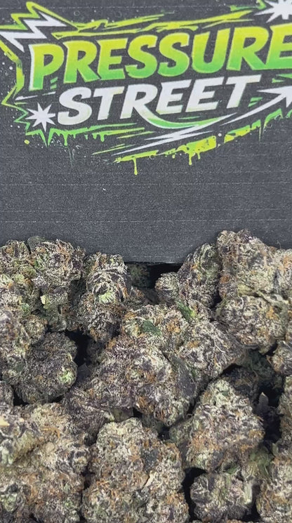 #N-CM1136 - Purplatti (Hybrid)