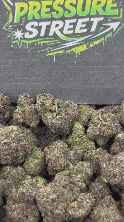 #N-CM1160 - Frozen Mochiz (Hybrid)
