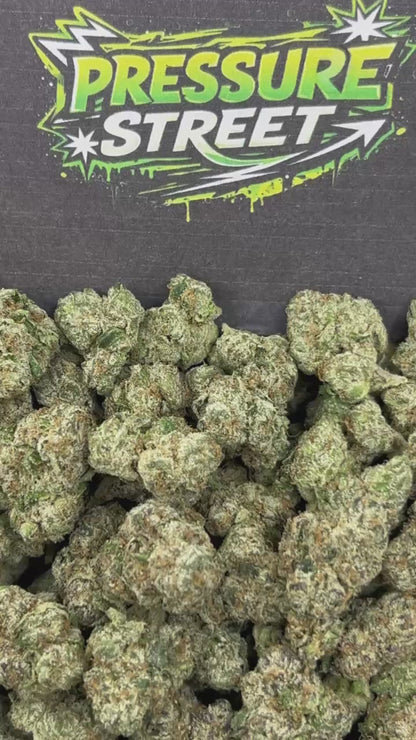 #N-LC103 - Blueberry Muffinz (Hybrid)
