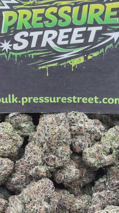 #KIL729 - Quattro Kush (Indica)