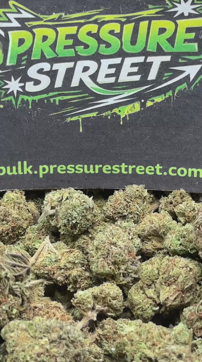 #IND151 - Mango Berry (Hybrid)