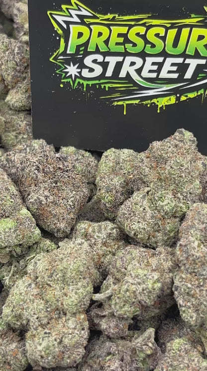 #B-LC043 - Wedding Crasher (Hybrid)
