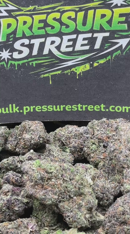 #EX606 - Mint Cream (Hybrid)