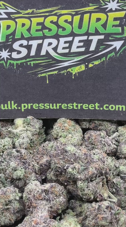 #EX598 - Lemon Ice (Hybrid)