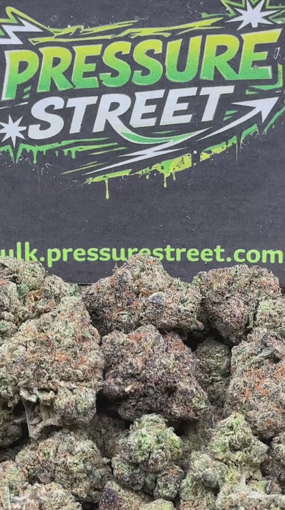 #EX592 - Lemon Drop (Hybrid)