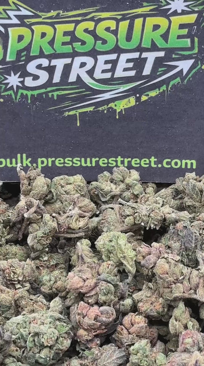 #IND136 - Berry Lush (Hybrid)