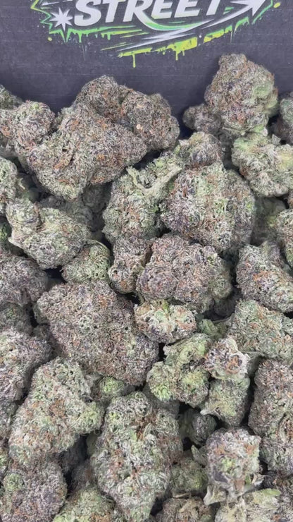 #N-EA827 - Purple Cherriez (Hybrid)