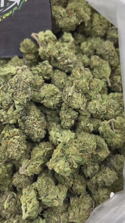 #N-EB306 - Marz Cookiez (Hybrid)