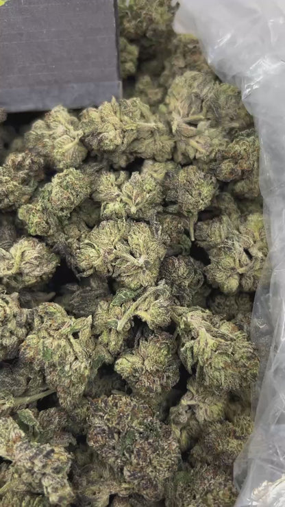 #N-EB305 - Grape Soda(Hybrid)
