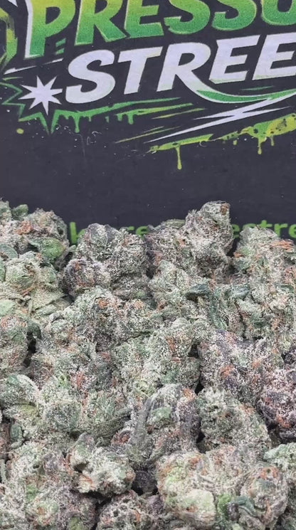 #SM512 - Mango Dream SM (Hybrid)