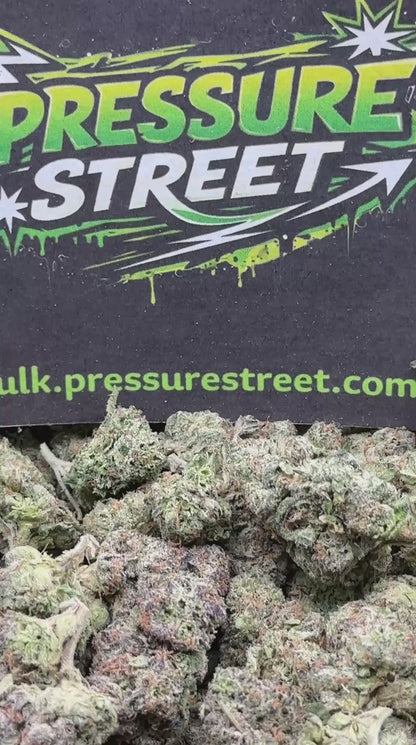 #EX585 - Tangie Mint (Hybrid)