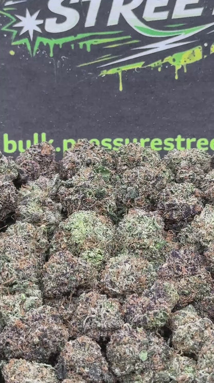 #SM522 - Sweet Pineapple SM (Hybrid)
