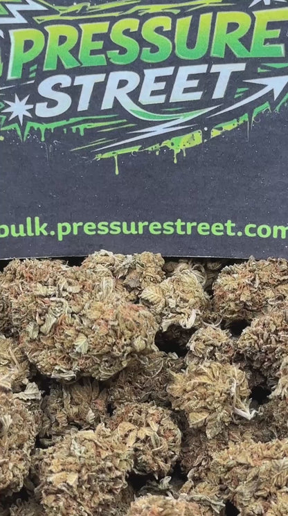 #B648 - Hill Breeze (Hybrid)