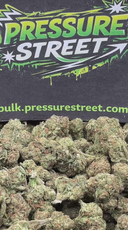 #IND145 - Blueberry Kush (Indica)