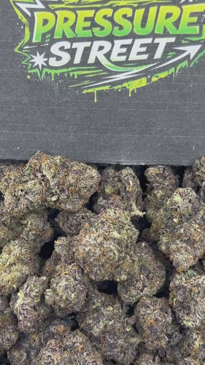 #N-CM1157 - Bubblegum Runtz (Hybrid)