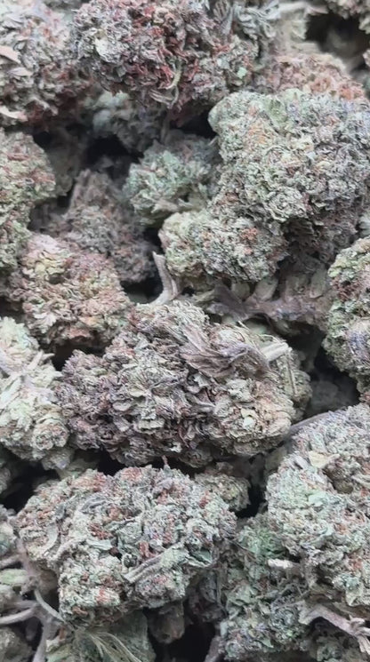#IND155 - Guava Punch (Hybrid)