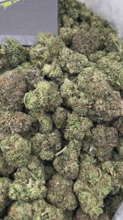 #N-EA861 - White Crunch Gelato (Hybrid)