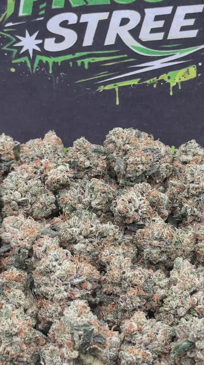 #KAM313 - Berry Glow SM (Hybrid)
