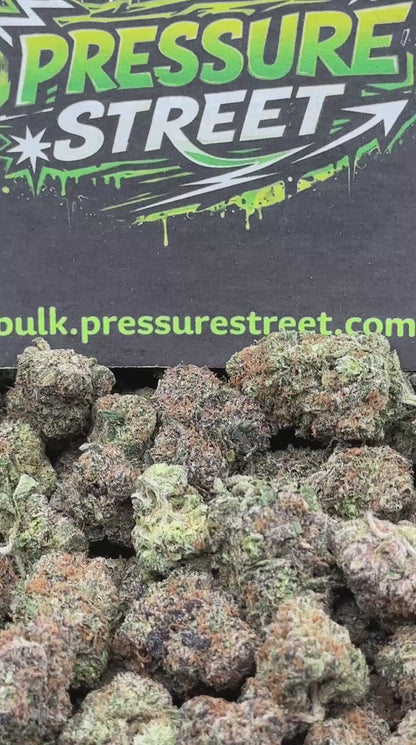 #EX584 - Strawberry Frost (Hybrid)