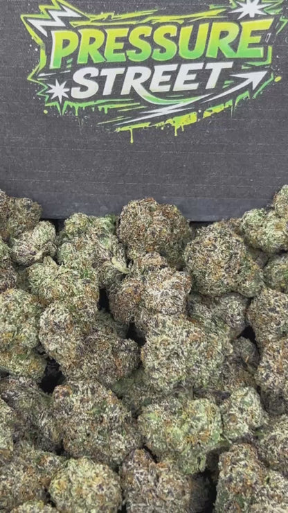 #N-CH378 - Galactic Zkittlez (Hybrid)
