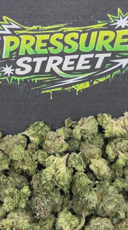 #N-ECS308 - Ice Cream SM (Indica)