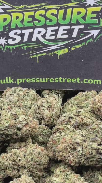 #IND149 - Peach Cobbler (Hybrid)