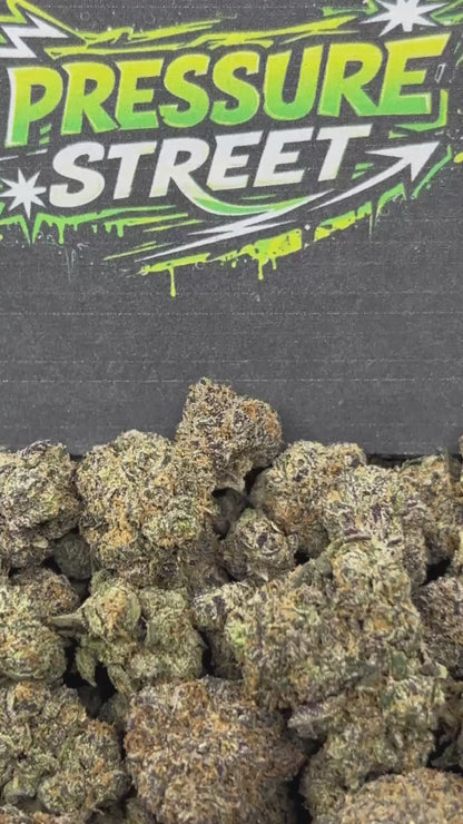 #N-CM1174 - Berry Frost (Hybrid)