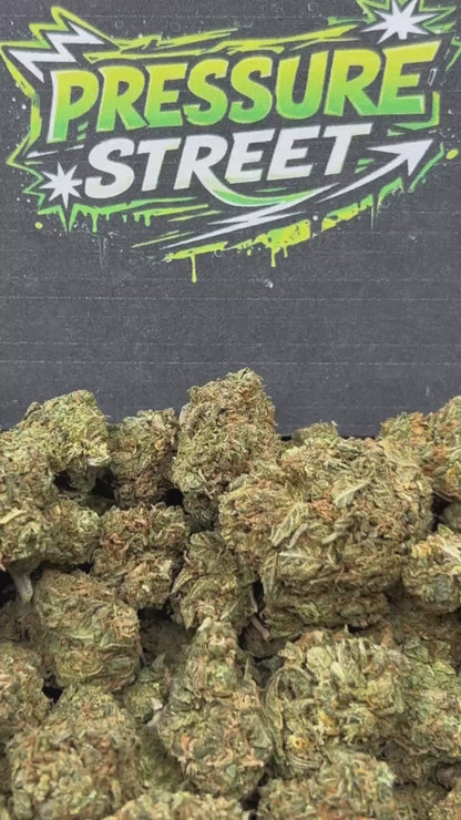 #B-EB016 - Pineapple Gusherz (Hybrid)