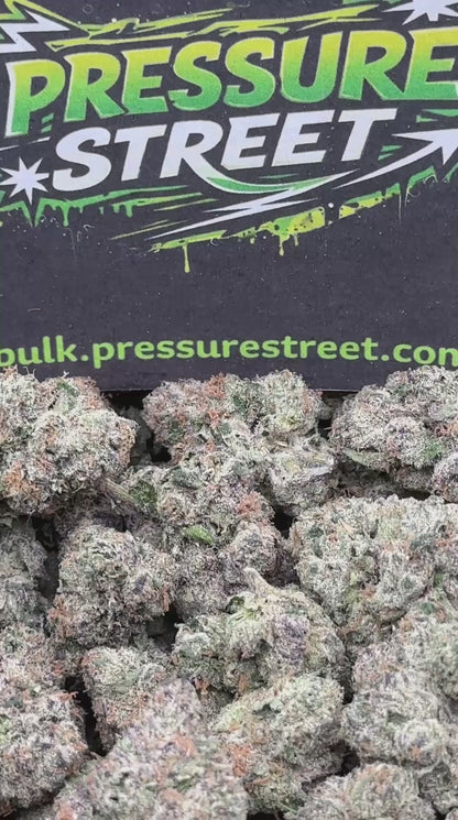 #AI014 - Crystal Mountain (Indica)