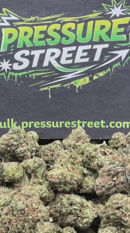 #IP019 - Georgia Pie (Indica Hybrid)