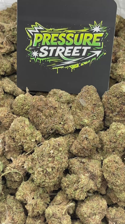 #B-EC010 - Northern Lights (Indica)